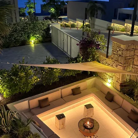 Palms بالاسي