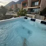 Palms فيلة *